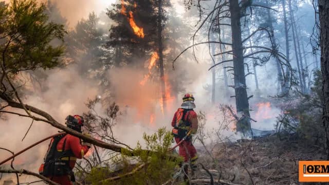 Οι πυρκαγιές στη Γαλλία και την Ισπανία σκορπούν τρόμο