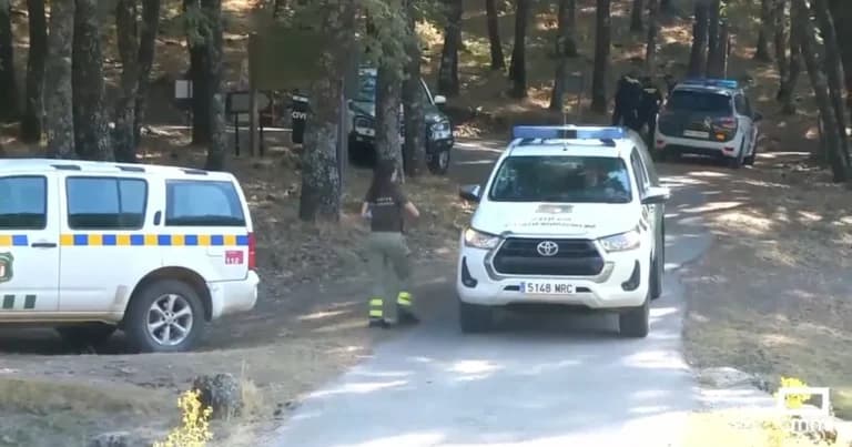 Συναγερμός στην Ισπανία για λιοντάρι κοντά στο Τολέδο