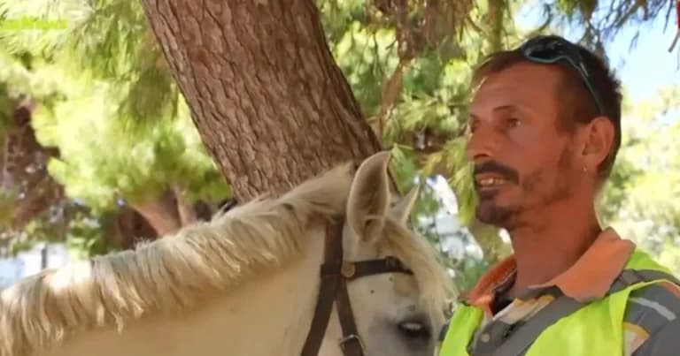 Πρόστιμο 700 ευρώ σε μεθυσμένο αναβάτη στην Άνδρο