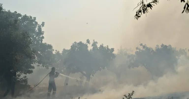 Κρατική αρωγή στις πυρόπληκτες περιοχές Φωκίδας και Βοιωτίας