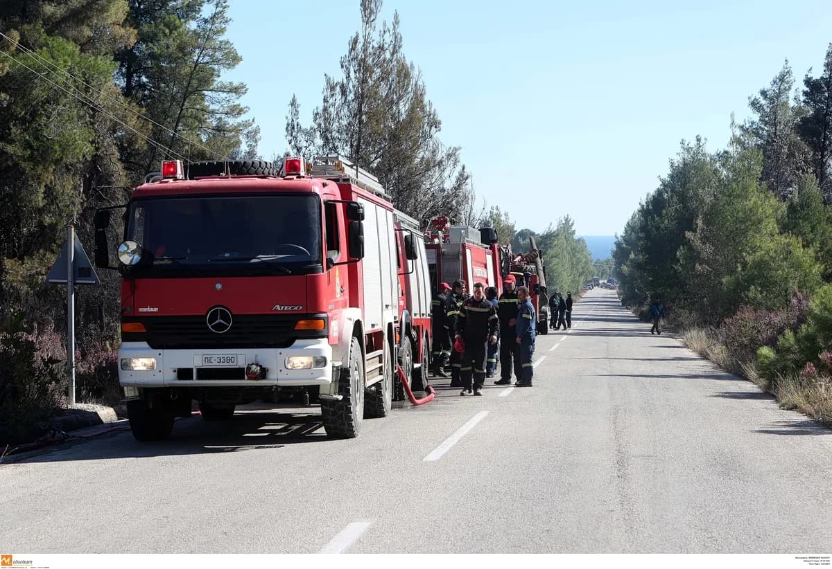 Η Χαλκιδική απαγορεύει την κυκλοφορία σε δασικές περιοχές