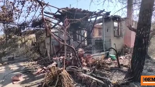 Η φωτιά στην Αργολίδα άφησε πίσω στάχτη και ερείπια