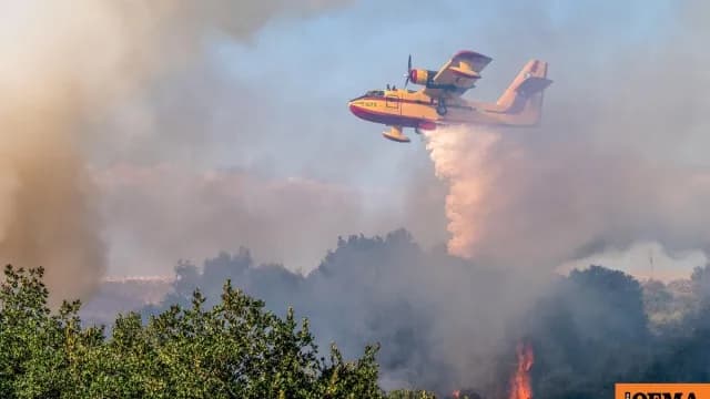 Φωτιά στην Κυρά Φαρσάλων: 31 πυροσβέστες μάχονται τις φλόγες