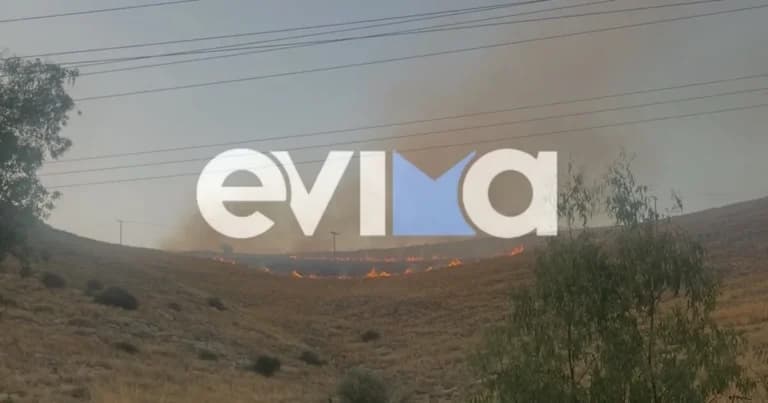 Χανιά: Συνελήφθησαν Δύο για Κλοπές Ψαριών Ύψους 10.600€