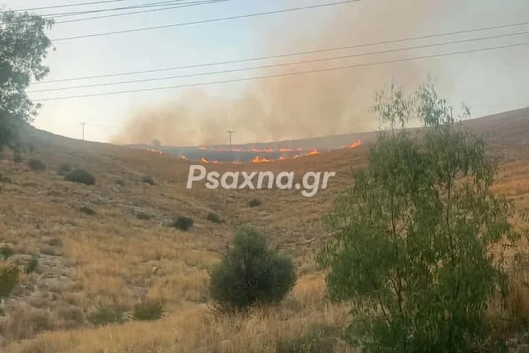 Φωτιά στη Χαλκίδα: Μάχη με τις φλόγες σε χαμηλή βλάστηση