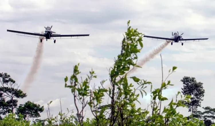 Η Κολομβία ανοίγει τον δρόμο για αεροψεκασμούς με γλυφοσάτη