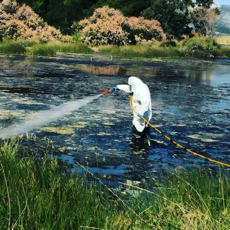 Η Περιφέρεια Αττικής αυξάνει 30% τους ψεκασμούς κατά κουνουπιών