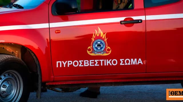 Φωτιά στην Κόνιτσα: Μάχη με τις φλόγες σε δύσβατη περιοχή