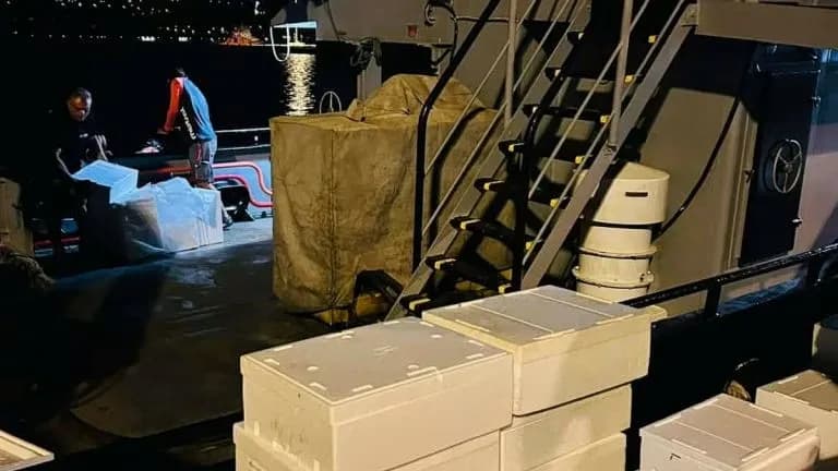 Ελεύθεροι οι δράστες της κλοπής ψαριών στη Σούδα Χανίων