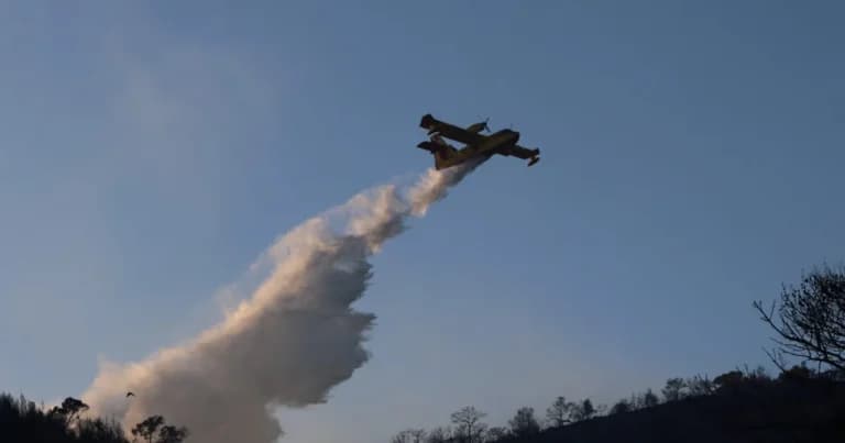 Η φωτιά στο Κιλκίς τέθηκε υπό έλεγχο με 36 πυροσβέστες
