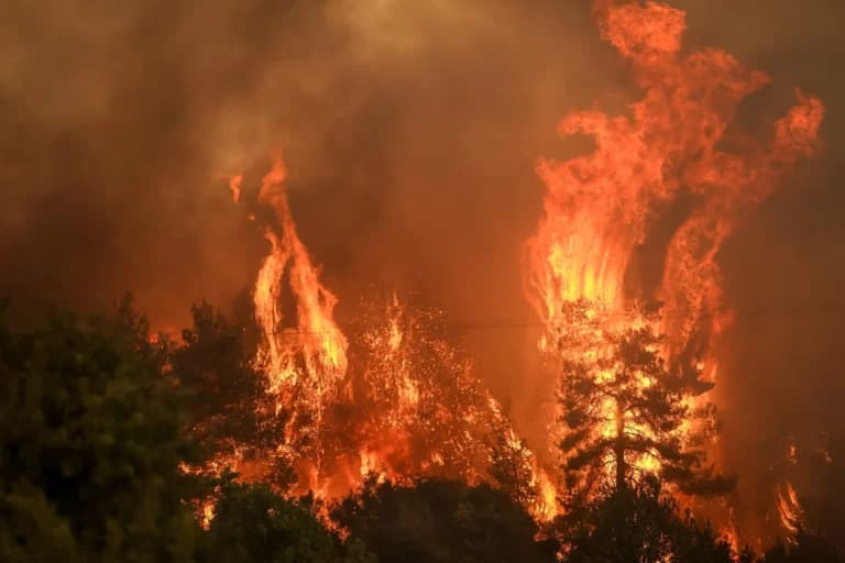 Πυρκαγιά στην Αλφειούσα Ηλείας: 50 πυροσβέστες μάχονται