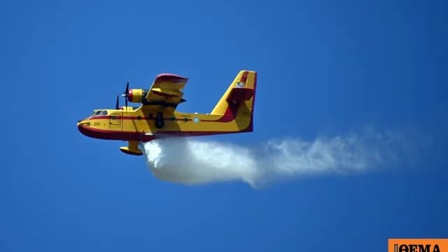 Μεγάλη φωτιά στο Τεμπλόνι της Κέρκυρας   Ήχησε το 112