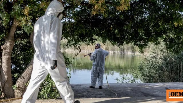 Ο ιός Δυτικού Νείλου εξαπλώνεται στην Αττική και Κρήτη