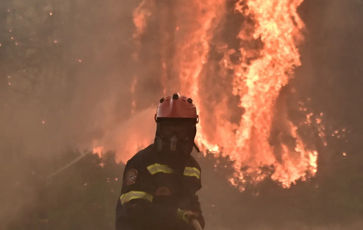 Η φωτιά στο Νεοχώρι Πρέβεζας κινητοποίησε την Πυροσβεστική
