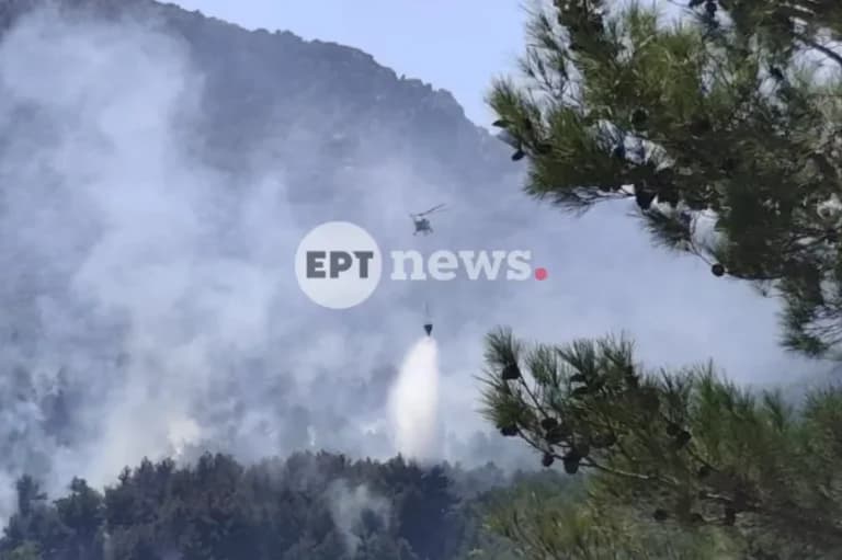 Ο 68χρονος συνελήφθη για την πυρκαγιά στα βόρεια της Χίου