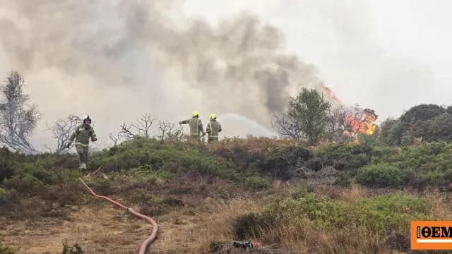 Η Βρετανία σπάει ρεκόρ πυρκαγιών μέσα σε πρωτοφανή καύσωνα