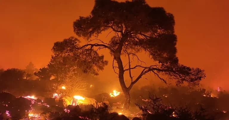 Ο 16χρονος συνελήφθη για τη φωτιά στο Ακρωτήρι Χανίων