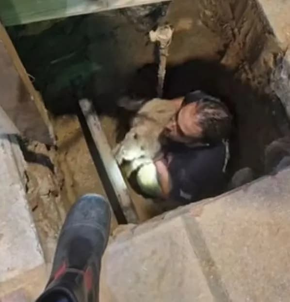 Ο σκύλος Ρόκι έπεσε σε τρύπα 3 μέτρων στη Θεσσαλονίκη