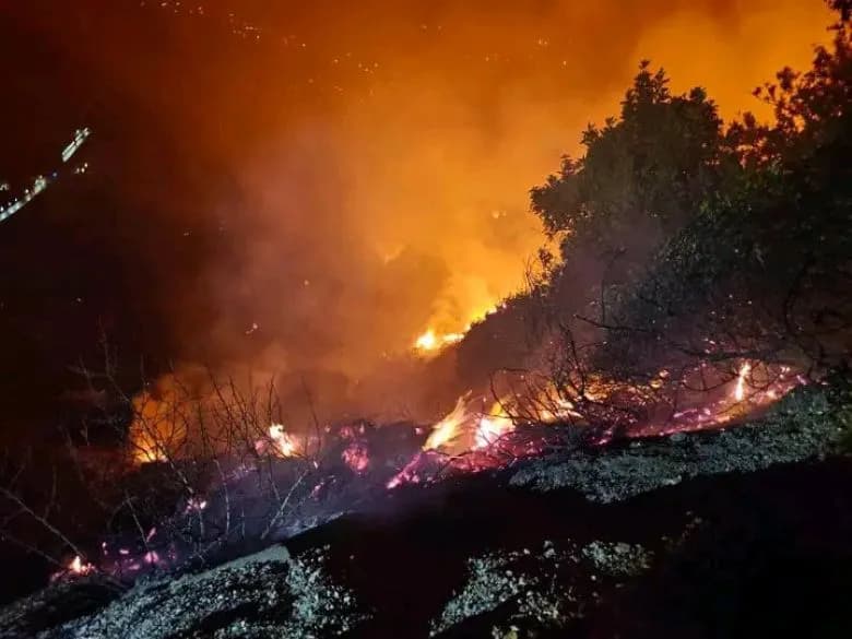 Οι πυρκαγιές στην Αλγερία σκότωσαν 12 ανθρώπους σε τρεις επαρχίες
