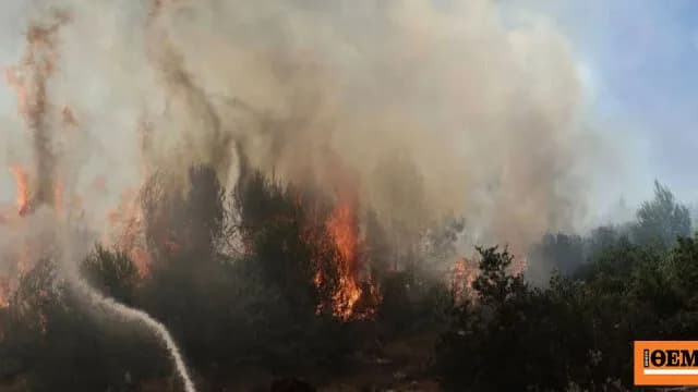 Φωτιά στην Ελάτεια Φθιώτιδας – Μήνυμα από το 112