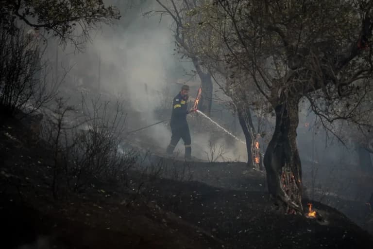 Νέα πυρκαγιά στην Αχαΐα: 112 για εκκένωση στη Φλόκα