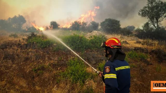 Η Πυροσβεστική σε 11 συλλήψεις για φωτιές σε 5 περιοχές