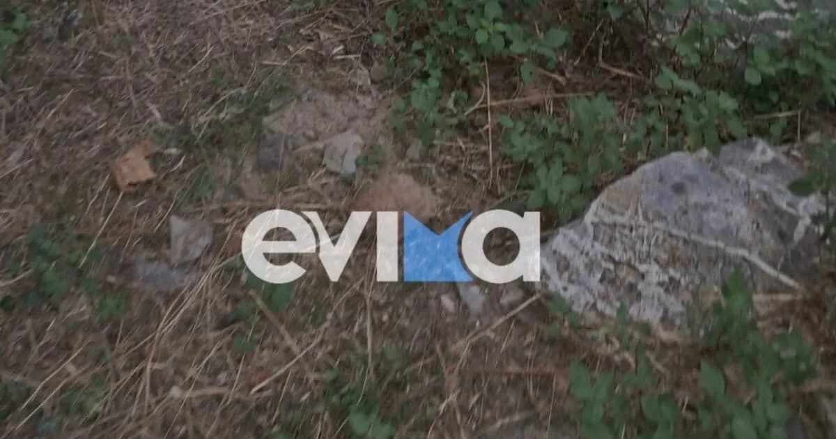 Η χειροβομβίδα του Β  Παγκοσμίου βρέθηκε στην Εύβοια