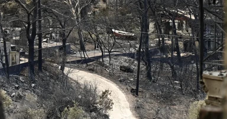 Η Αττική σε Red Code για πυρκαγιά   Τι ισχύει με τις διακοπές