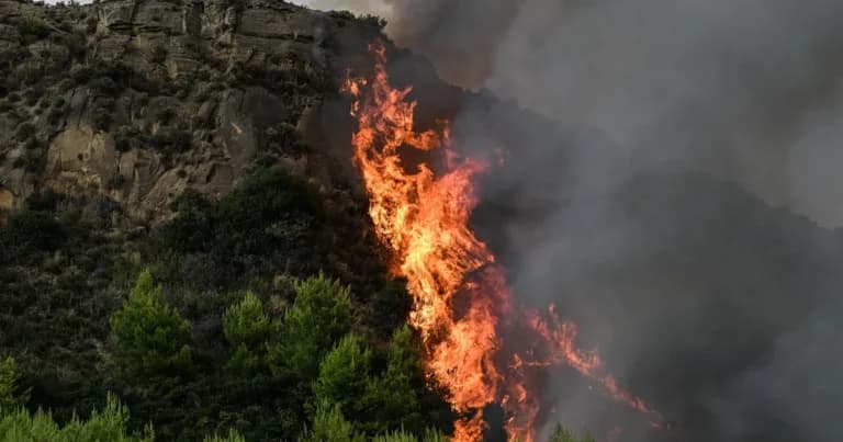Η φωτιά στο Μουζάκι Ηλείας υποχωρεί με 105 πυροσβέστες