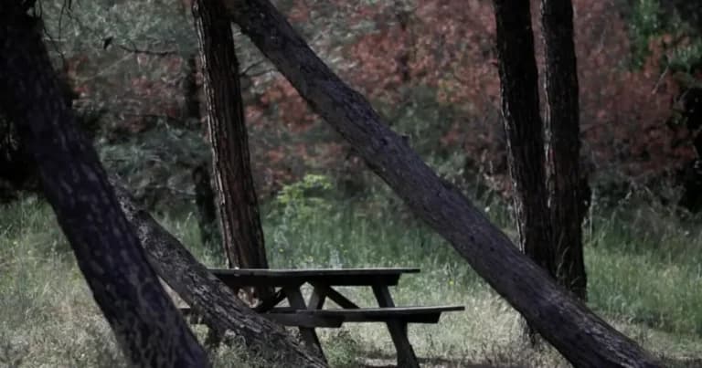 Ο ΔΕΔΔΗΕ ενισχύει τη μάχη κατά των δασικών πυρκαγιών