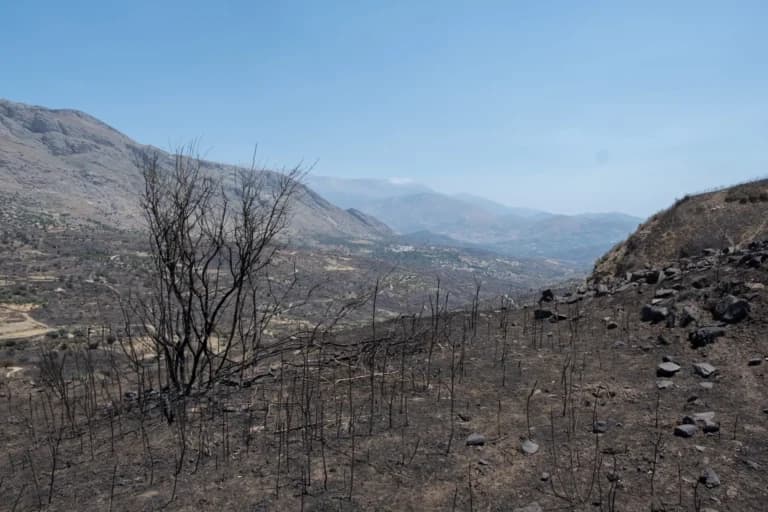 Οι αιτήσεις αποζημίωσης πυρόπληκτων επιχειρήσεων στο Ρέθυμνο