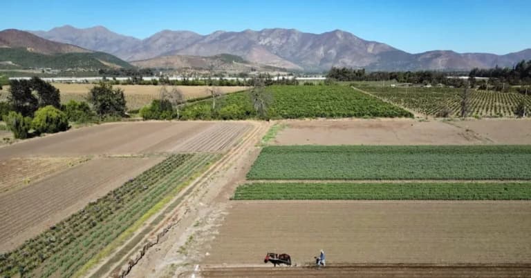 Η ΑΑΔΕ ξεκινά τη νέα πλατφόρμα myAGRO για τους αγρότες