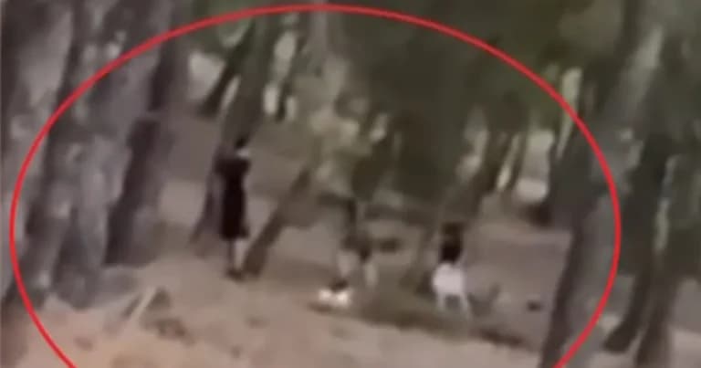 Ανήλικοι έπαιξαν επικίνδυνο challenge φωτιάς στο Πεντελικό