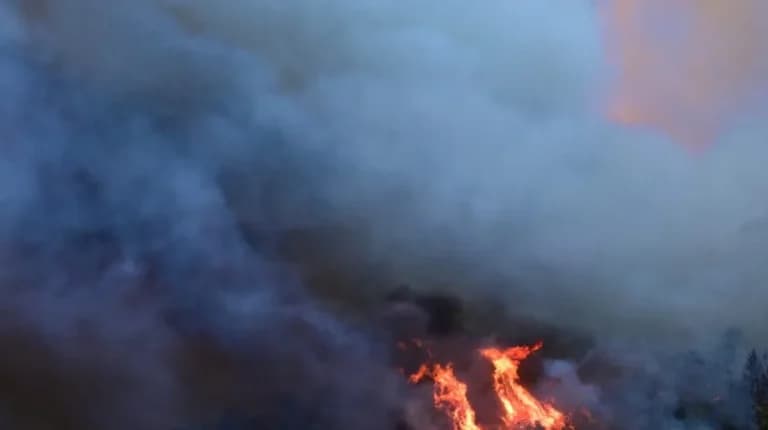 Φωτιά στην Αττικοβοιωτία: Δύσκολο 48ωρο για την Πυροσβεστική