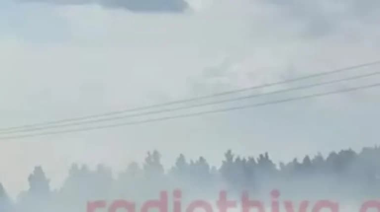 Φωτιά στη Θήβα: Απειλεί το Μοσχοπόδι, καπνός στην πόλη