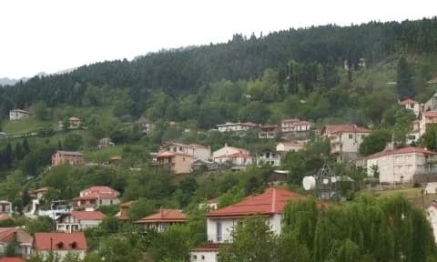 Η Χρυσομηλιά αψηφά το δημογραφικό πρόβλημα της Ελλάδας