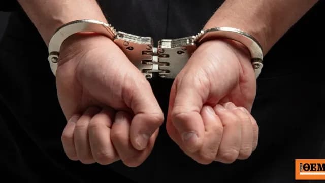 Η Πυροσβεστική συνέλαβε 58χρονο για φωτιά σε φωτοβολταϊκό πάρκο