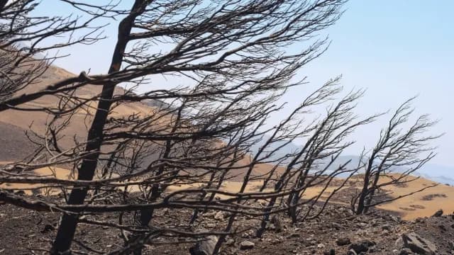 Ο υπεύθυνος του ΔΕΔΔΗΕ απολογείται για τη φωτιά στην Κρύα Βρύση