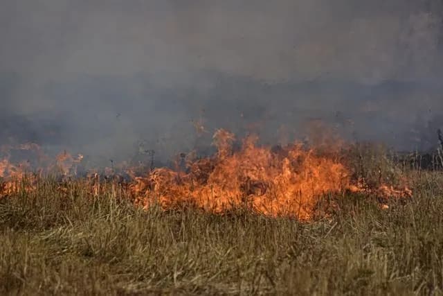 Η φωτιά στο Κορωπί τέθηκε υπό έλεγχο με 45 πυροσβέστες