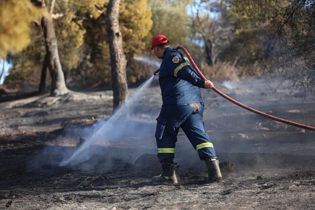 Πυρκαγιές σε Σκύρο και Ηλεία: Μάχη με τις φλόγες σήμερα
