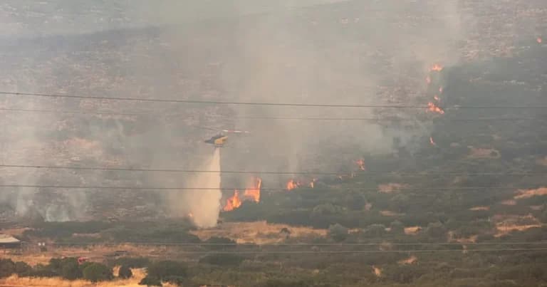 Τρεις συλλήψεις για πυρκαγιές σε Κορινθία και Λέσβο