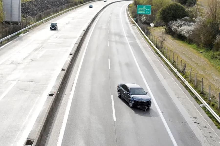 Τα πούμα μειώνουν τα τροχαία ατυχήματα με ελάφια στις ΗΠΑ