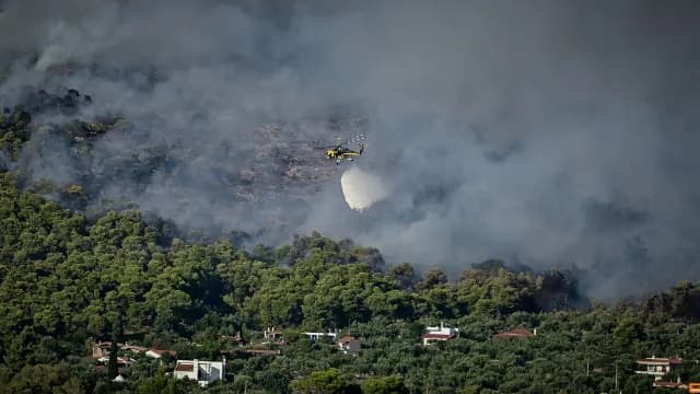 Φωτιά στη Σκάλα Χαλκιδικής – Κινητοποίηση 43 πυροσβεστών