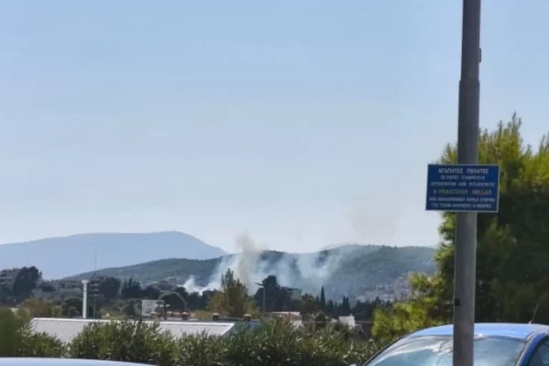 Πυρκαγιές σε Εύβοια και Παιανία: Επιχειρούν πυροσβέστες