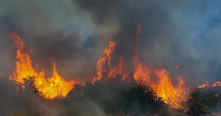 Σύλληψη 53χρονου για τη φωτιά στο Άγιο Όρος