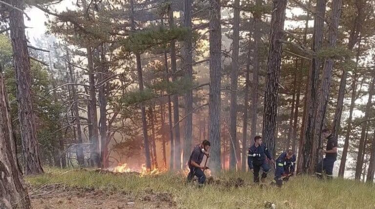 Η φωτιά στην Κόνιτσα βελτιώνεται την όγδοη ημέρα καύσης