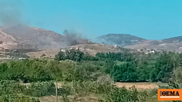 Φωτιά στην Κάρυστο Ευβοίας: Μήνυμα 112, κινητοποίηση δυνάμεων