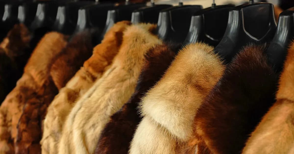 Η κυβέρνηση στηρίζει τη γουνοποιία με 28,7 εκατ. ευρώ