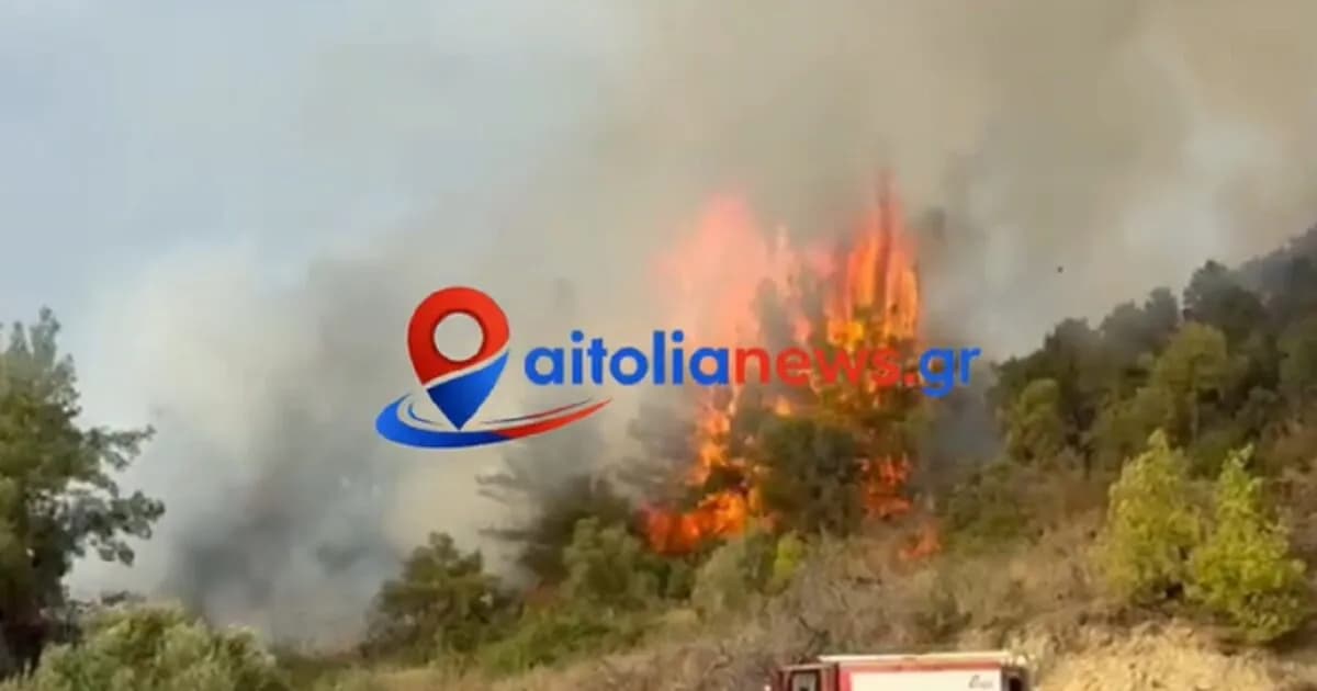 Φωτιά στο Μεσολόγγι: Σηκώθηκαν 5 αεροσκάφη για την κατάσβεση