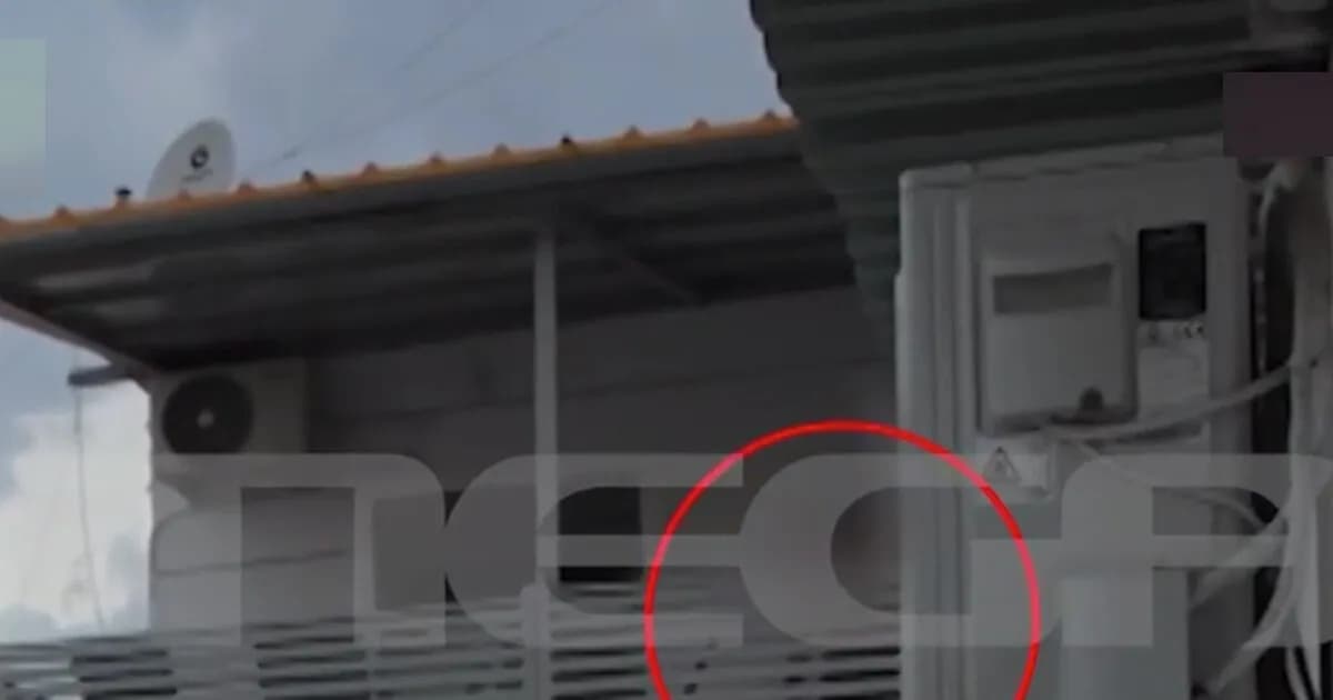 Η ΕΛ.ΑΣ. συνέλαβε 24χρονο σε επιχείρηση στη Δυτική Αττική